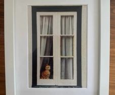 Framed original photograph of cat
