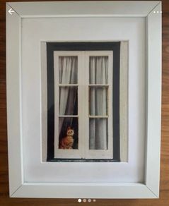 Framed original photograph of cat