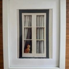 Framed original photograph of cat