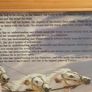 Beautiful Picture Image 2