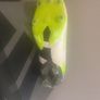 Adidas football boots size 8 uk BNIB Image 3