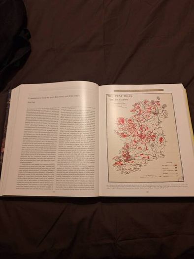 Atlas of the Irish Revolution