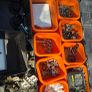 double sided organiser full ,,,,garage clearance Image 2