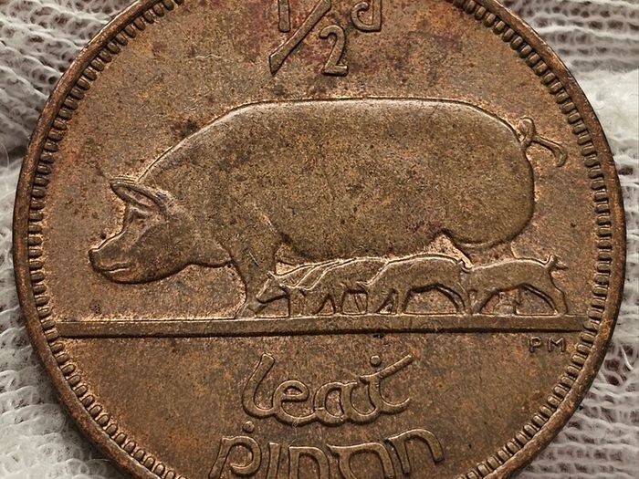 Ireland 1964 1/2d Halfpenny