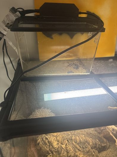 Reptile tank