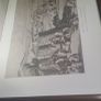 Antique irish history books Image 2
