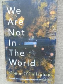 We are not in the World, Conor O' Callaghan,Paperback book, Fiction,book