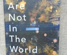 We are not in the World, Conor O' Callaghan,Paperback book, Fiction,book