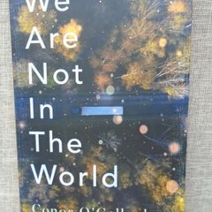 We are not in the World, Conor O' Callaghan,Paperback book, Fiction,book