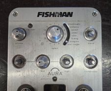 Fishman Aura Spectrum DI