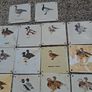 37 X Mid Century Avian Metal Display Plaques Image 9
