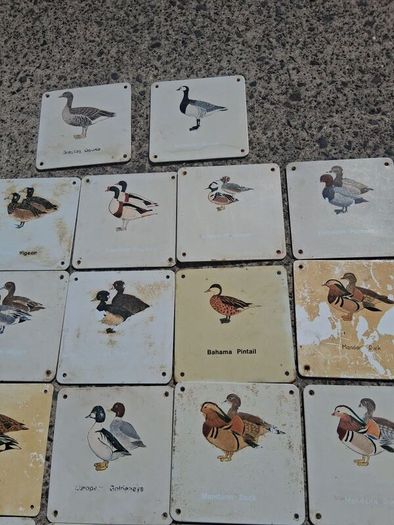 37 X Mid Century Avian Metal Display Plaques