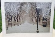 Large art photo - The Mall, Central Park, Manhattan, New York