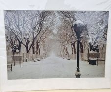 Large art photo - The Mall, Central Park, Manhattan, New York