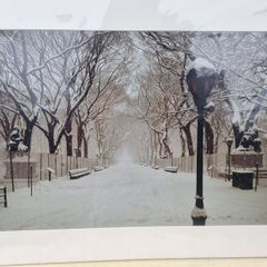 Large art photo - The Mall, Central Park, Manhattan, New York
