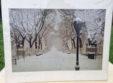 Large art photo - The Mall, Central Park, Manhattan, New York