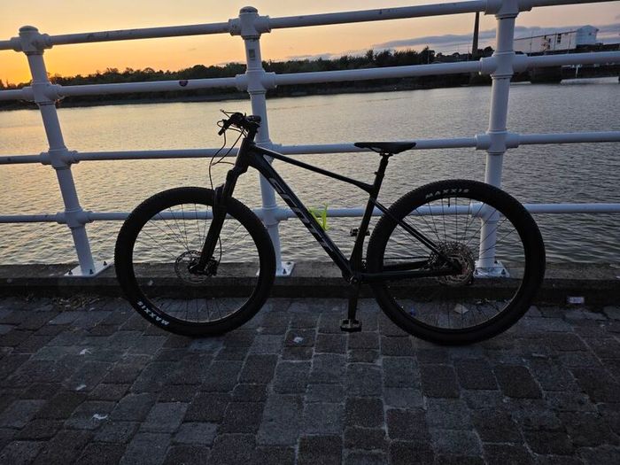 Large 2026 Scott Scale 935
