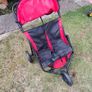 Buggy Image 2