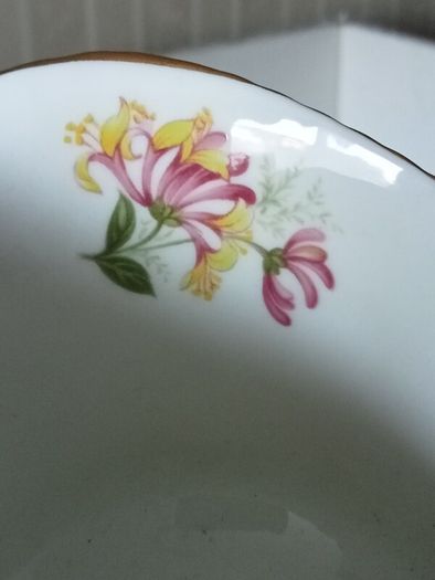 QUEEN'S Fine Bone China Rosina China "Woman and Home" Tea set