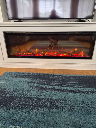 Dimplex electric fire
