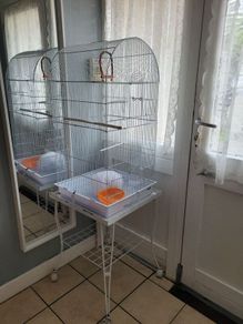 Bird cage