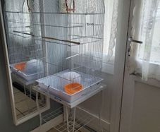 Bird cage