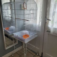 Bird cage