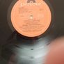 Siouxsie And The Banshees LP (Irish) - Join Hands Image 5