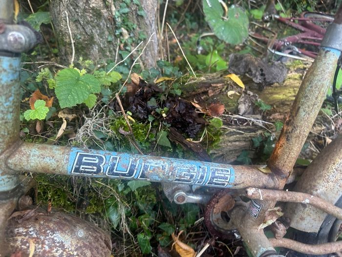 Vintage Raleigh Budgie