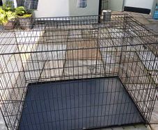 XXL Dog cage