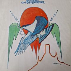 Vinyl Eagles On the Border