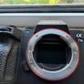 Sony a7iii (body only) Image 4