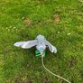 decoy pigeon Image 5