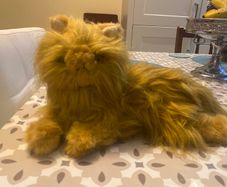 Harry Potter Crookshanks Fluffy Teddy