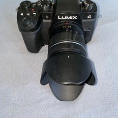 Panasonic Lumix G9 Mirrorless Camera