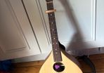 Brand New Ashbury Rathlin Octave Mandolin