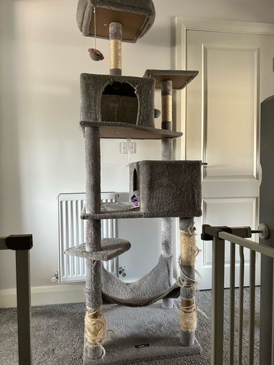 cat tree 191cm