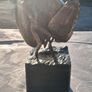 Eve And The Apple Signed Bronze Image 4