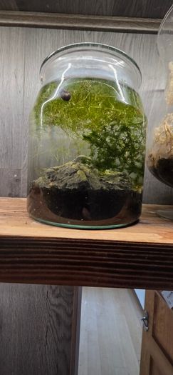 fluval flex