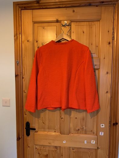 Dunnes short red jacket