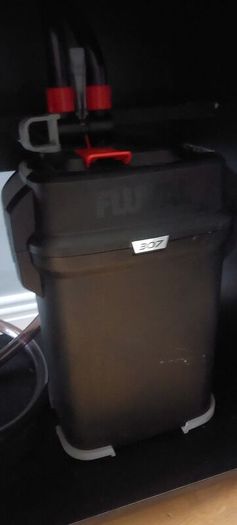 fluval 200 led fish tank