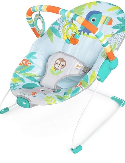 Soothing Baby Bouncer
