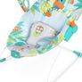 Soothing Baby Bouncer Image 3