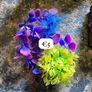 Fish Keeping aquarium decor / accessories Image 4