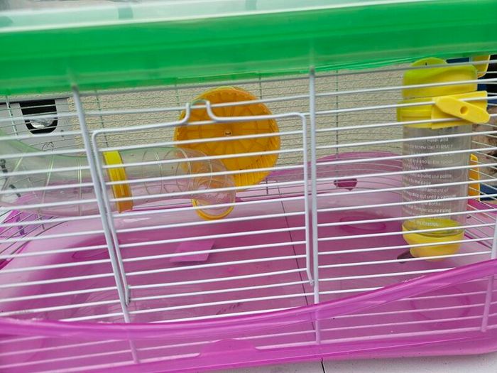 Hamster cage and accessories