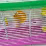 Hamster cage and accessories Image 2