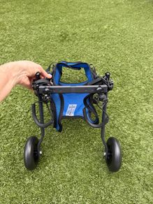 dog wheels