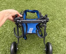 dog wheels