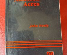 John Healy / Nineteen Acres / 2nd impression, / 1987