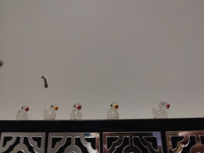 glow in dark ducks
